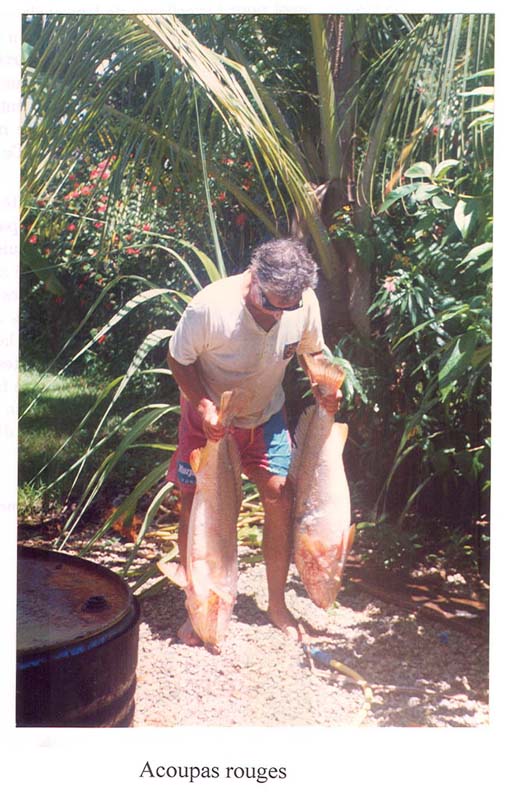 REtour de pêche