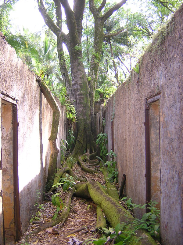 Île Saint-Joseph